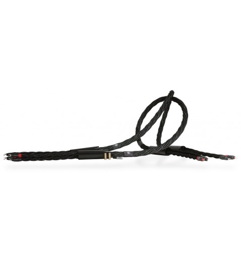 Synergistic Research Galileo SX SC